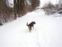 Thumbs/tn_2006_0311_081949 (Large).jpg